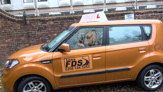 Fake Driving School méretes brit csöcsök